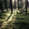 Heldagsretreat "Med handen på hjärtat"